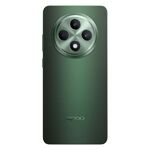 Ανθεκτικές θήκες κινητών Oppo Reno 12 FS 5G σε ποικιλία σχεδίων